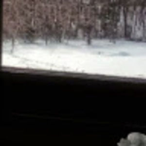 Meet your Posher, Cameron